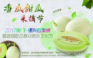 大合集网红吃瓜,揭秘娱乐圈幕后真相