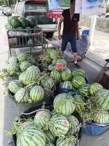 满城网红吃瓜事件,网红吃瓜事件背后的网络狂欢与反思