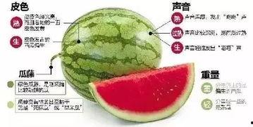 郯城网红吃瓜群微信,揭秘网络社交圈的趣味与争议